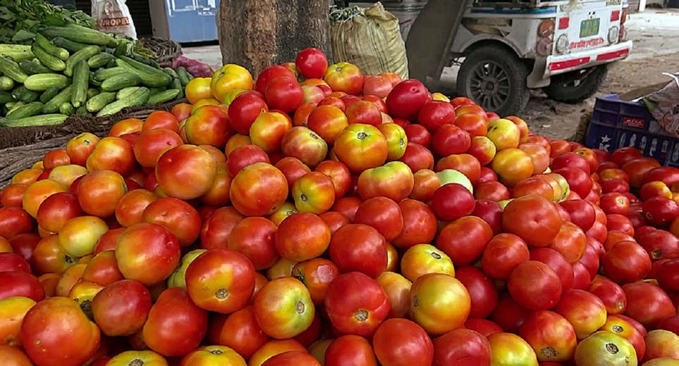 Tomato Price: News of big relief, government gave big update, tomato prices will come down soon