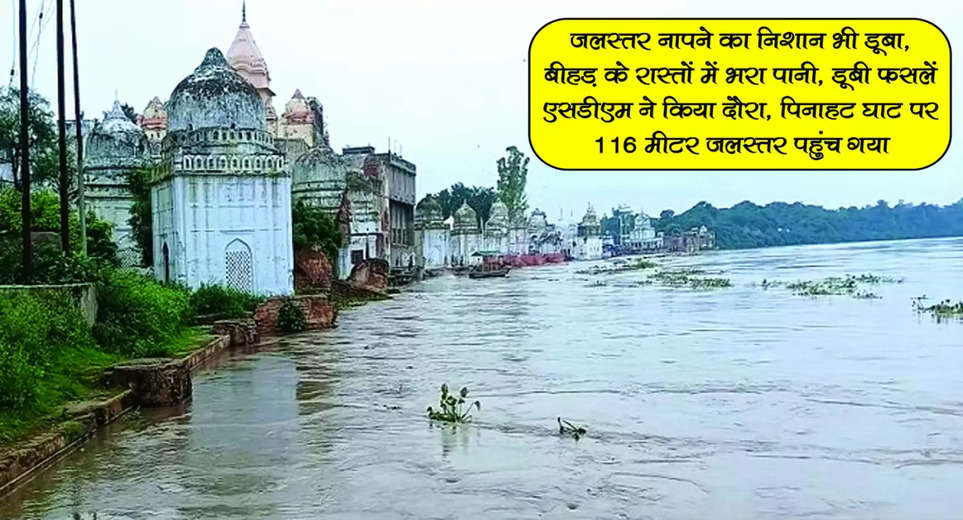 Flood in Agra: After 13 years, the fierce form of Yamuna was seen, water reached Bateshwar ghat and broken temples