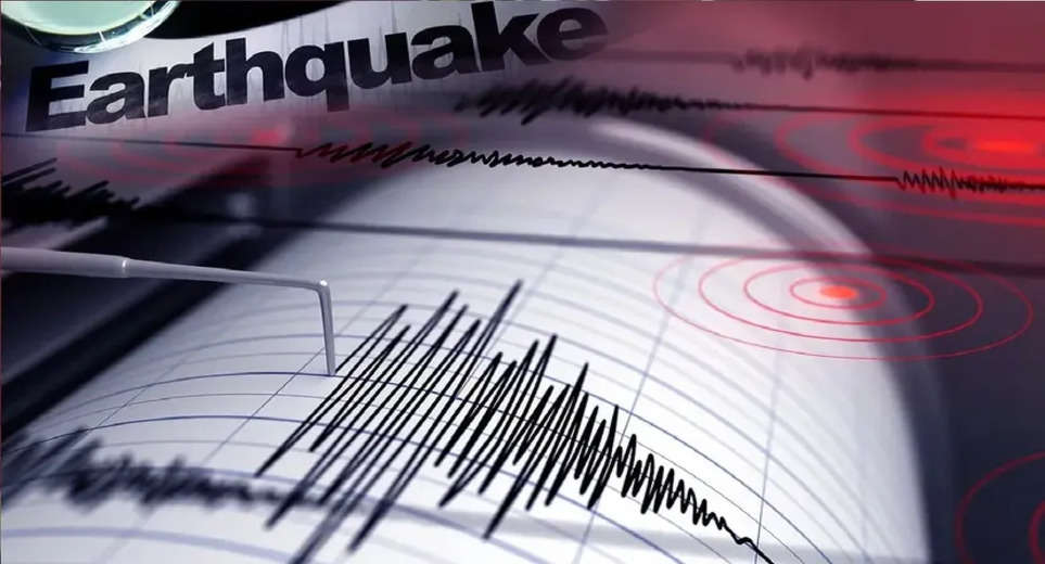 Earthquake In Delhi-NCR: Know why earthquakes occur and which creature gets the information about earthquakes first?