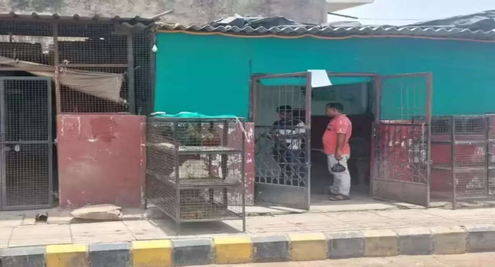 Guddu Muslim News: Bomber Guddu Muslim's sealed chicken shop reopens where bulldozers were supposed to run
